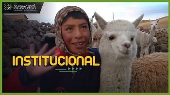 Caritas del Perú - Scotiabank -
