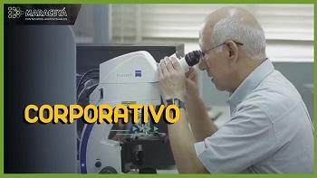 Sudamericana de Fibras - Video Corporativo
